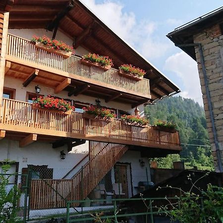 Cadorina Apartamento Valle di Cadore Exterior foto